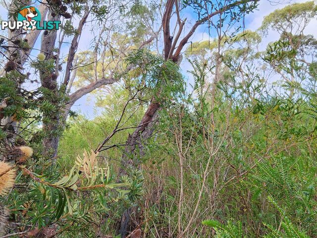 131 Acacia Drive ANSONS BAY TAS 7264