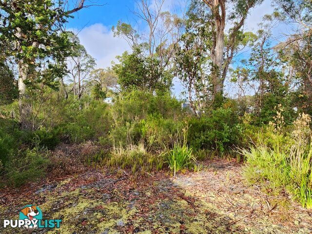 131 Acacia Drive ANSONS BAY TAS 7264