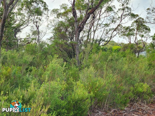 131 Acacia Drive ANSONS BAY TAS 7264