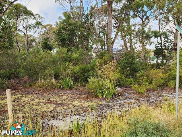 131 Acacia Drive ANSONS BAY TAS 7264