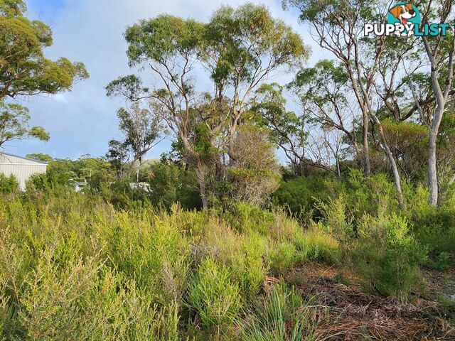 131 Acacia Drive ANSONS BAY TAS 7264