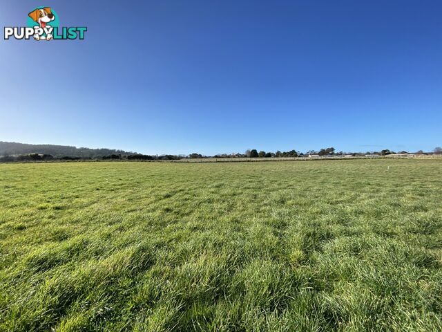 Lot 38/38 Annie Street ST HELENS TAS 7216