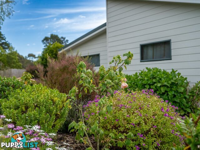 16 Bayvista Rise ST HELENS TAS 7216