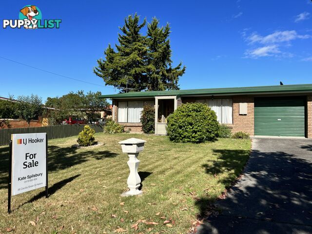 Unit 1/7 Cameron Street ST HELENS TAS 7216