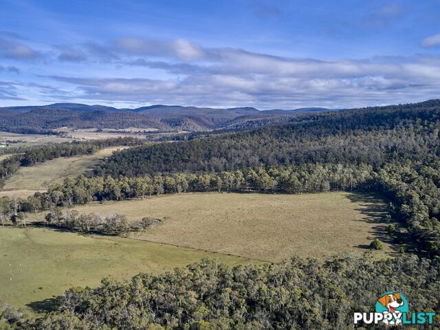 Lot 1/233 Ferndale Road BICHENO TAS 7215