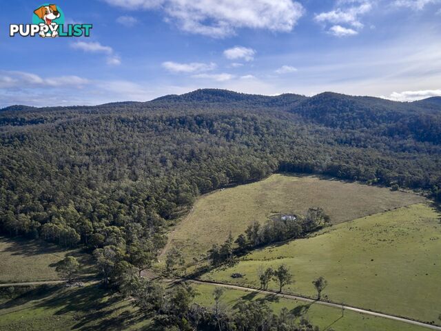 Lot 1/233 Ferndale Road BICHENO TAS 7215