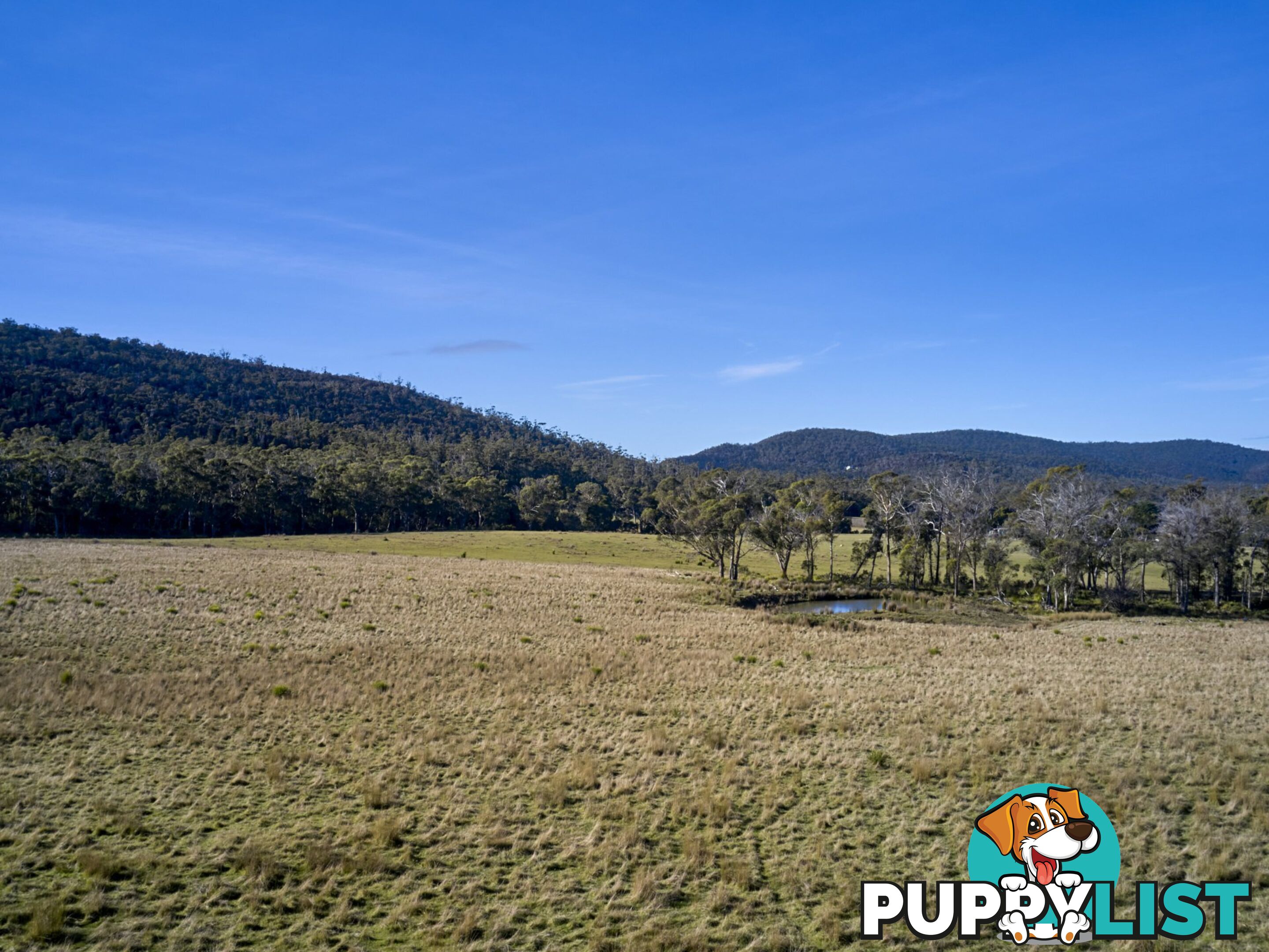 Lot 1/233 Ferndale Road BICHENO TAS 7215