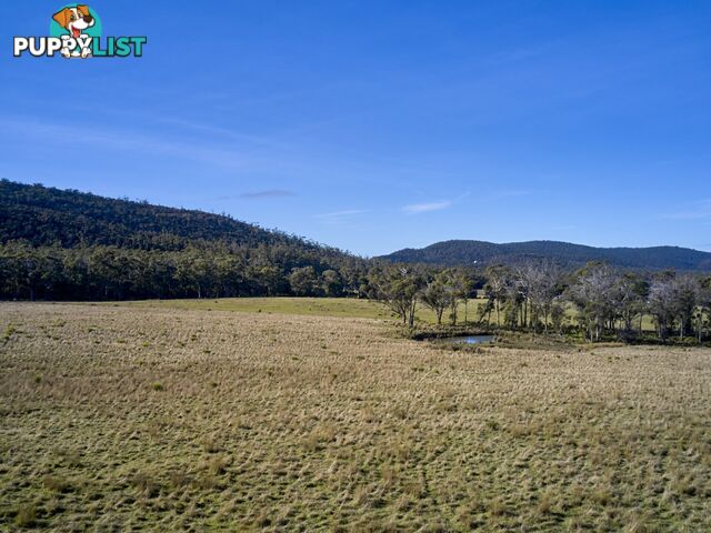 Lot 1/233 Ferndale Road BICHENO TAS 7215