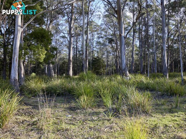 Lot 1/233 Ferndale Road BICHENO TAS 7215