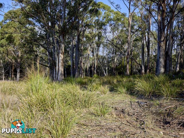 Lot 1/233 Ferndale Road BICHENO TAS 7215