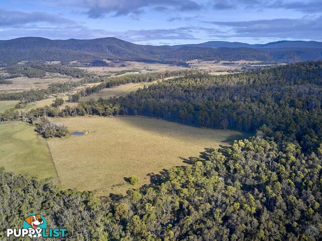 Lot 1/233 Ferndale Road BICHENO TAS 7215