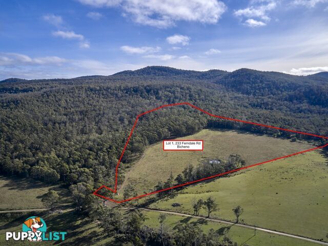 Lot 1/233 Ferndale Road BICHENO TAS 7215