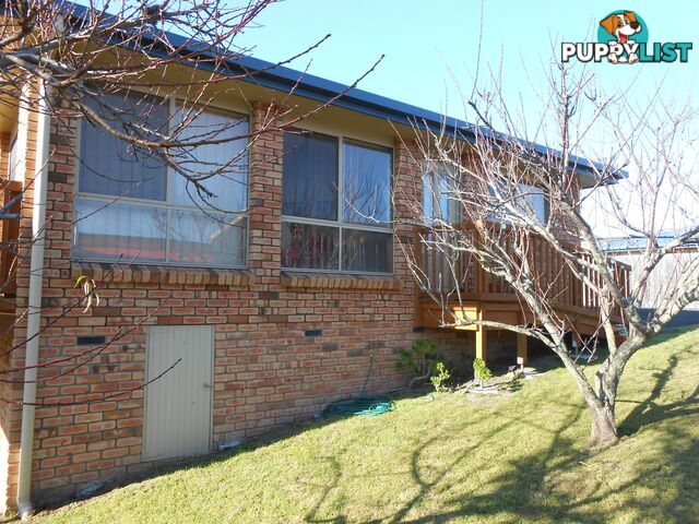 2/13 Cameron Street ST HELENS TAS 7216