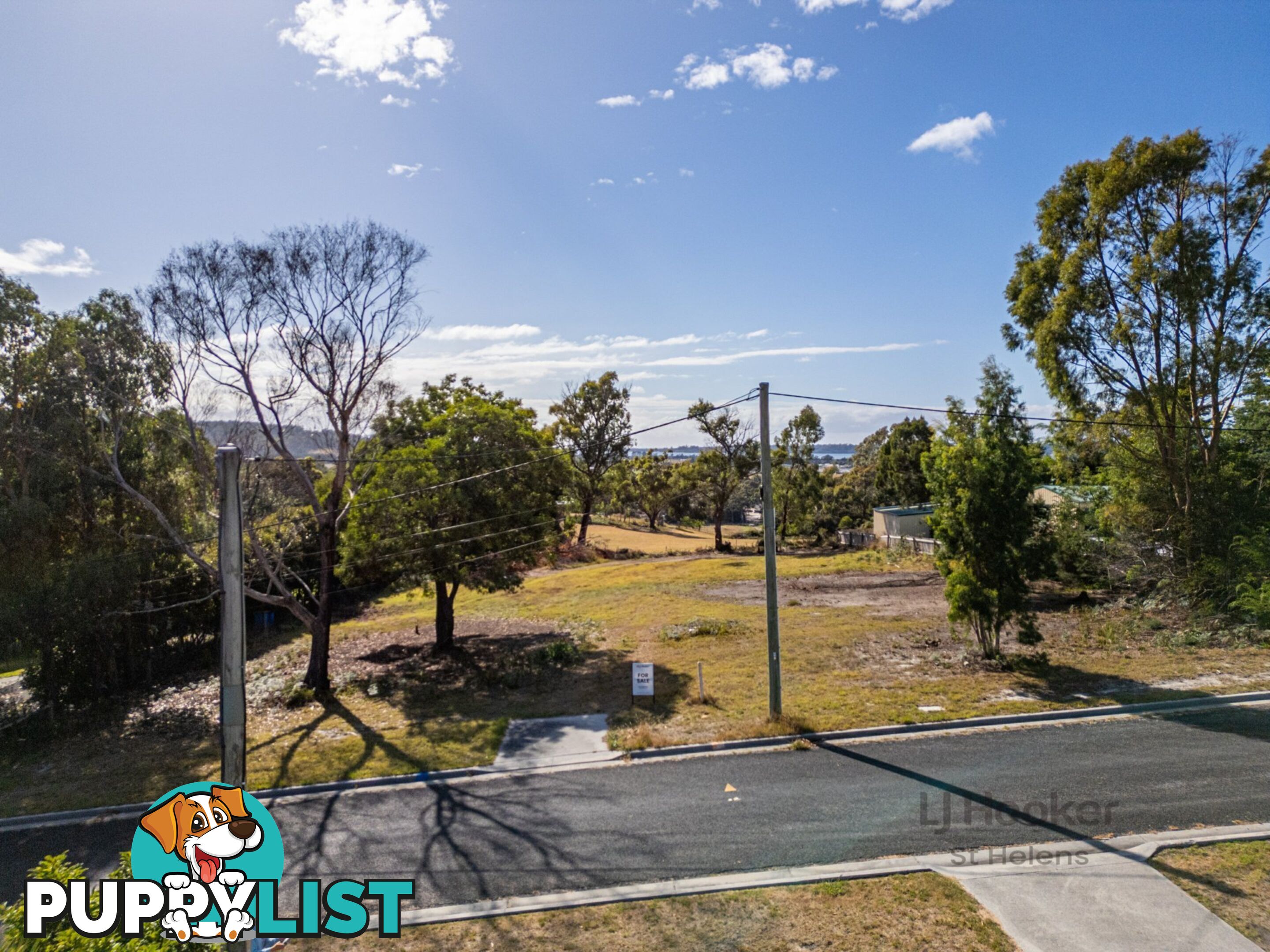 3 View Street ST HELENS TAS 7216