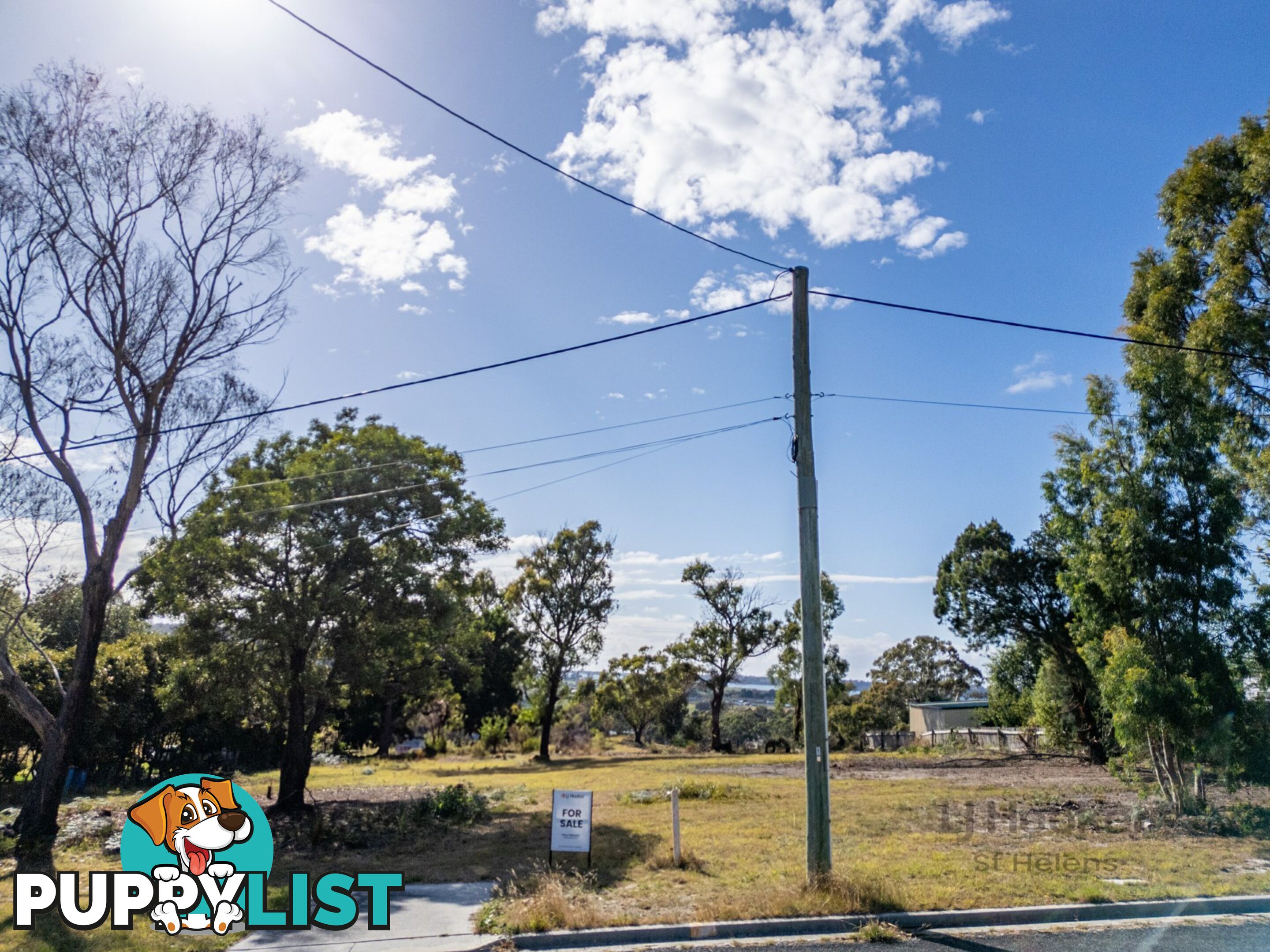 3 View Street ST HELENS TAS 7216