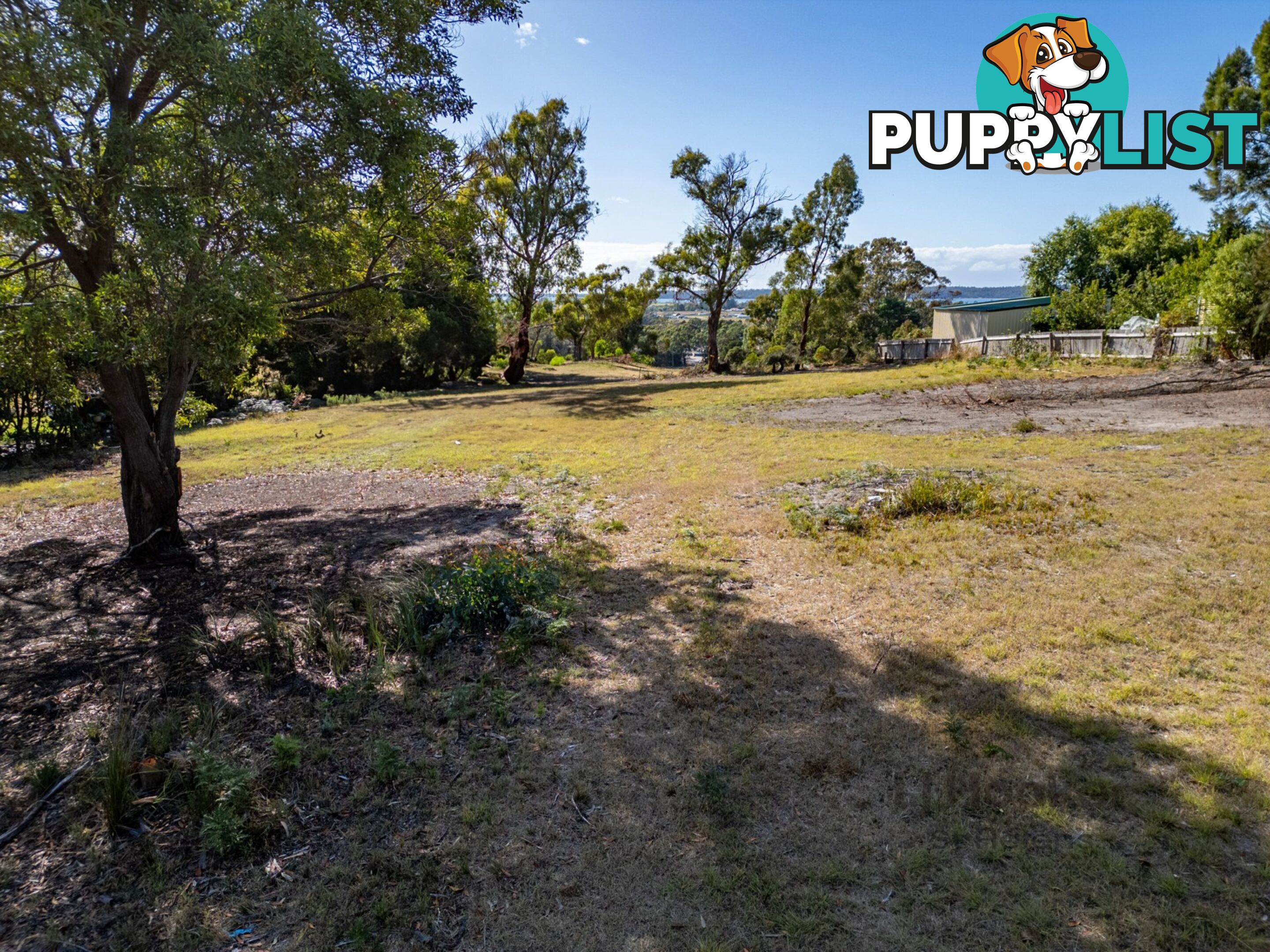 3 View Street ST HELENS TAS 7216