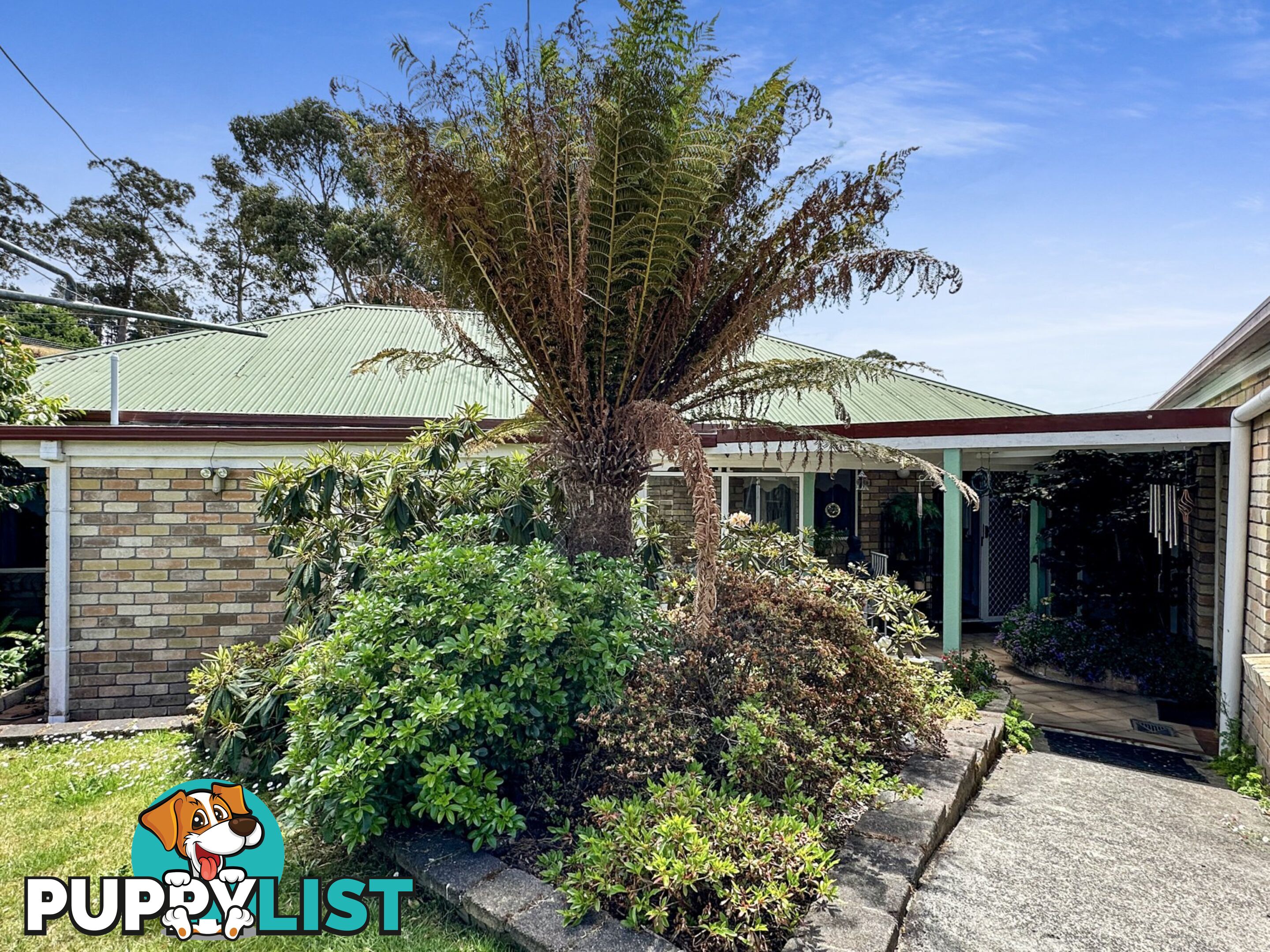 5 Kismet Place ST HELENS TAS 7216