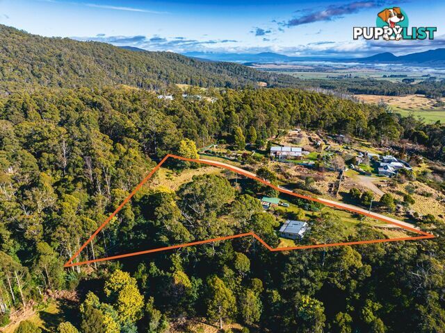 37 Dalmayne Road GRAY TAS 7215