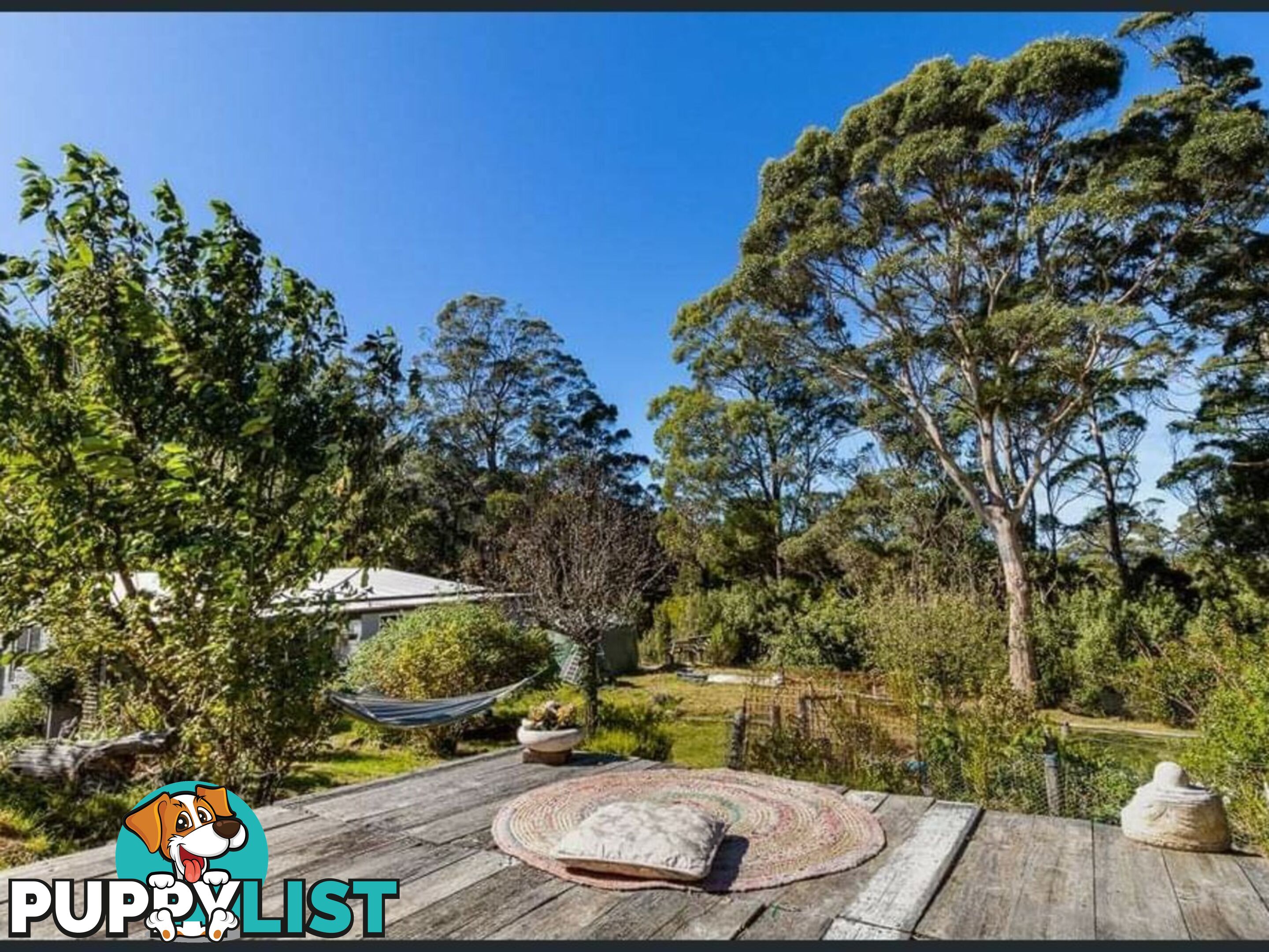 37 Dalmayne Road GRAY TAS 7215