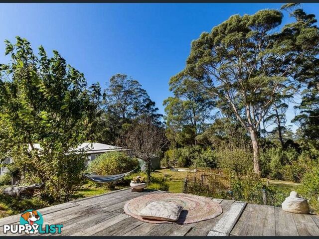 37 Dalmayne Road GRAY TAS 7215