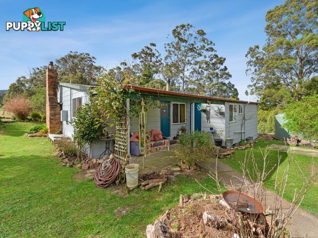 37 Dalmayne Road GRAY TAS 7215