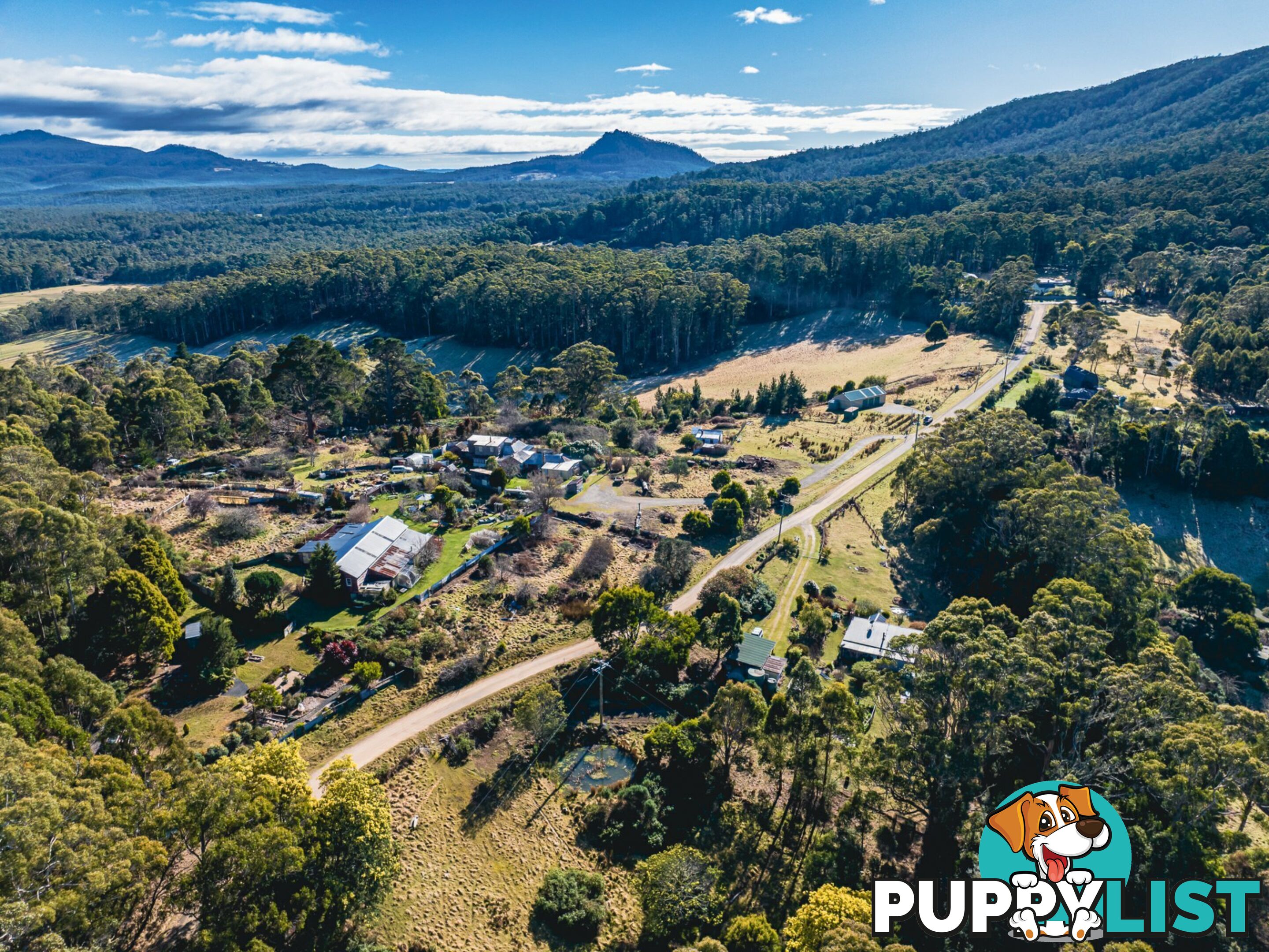 37 Dalmayne Road GRAY TAS 7215