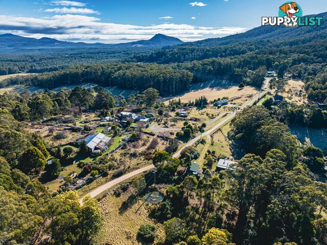 37 Dalmayne Road GRAY TAS 7215