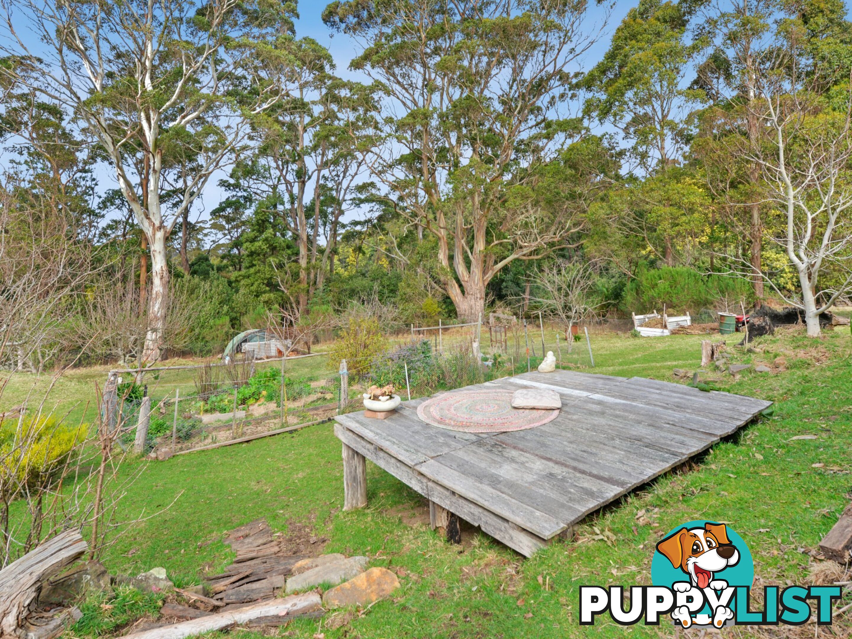 37 Dalmayne Road GRAY TAS 7215