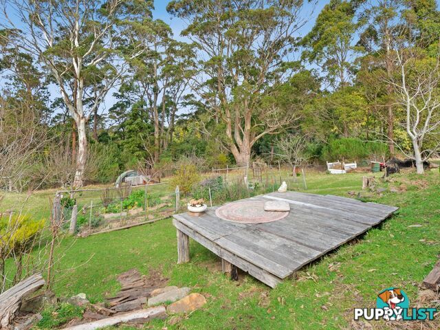 37 Dalmayne Road GRAY TAS 7215