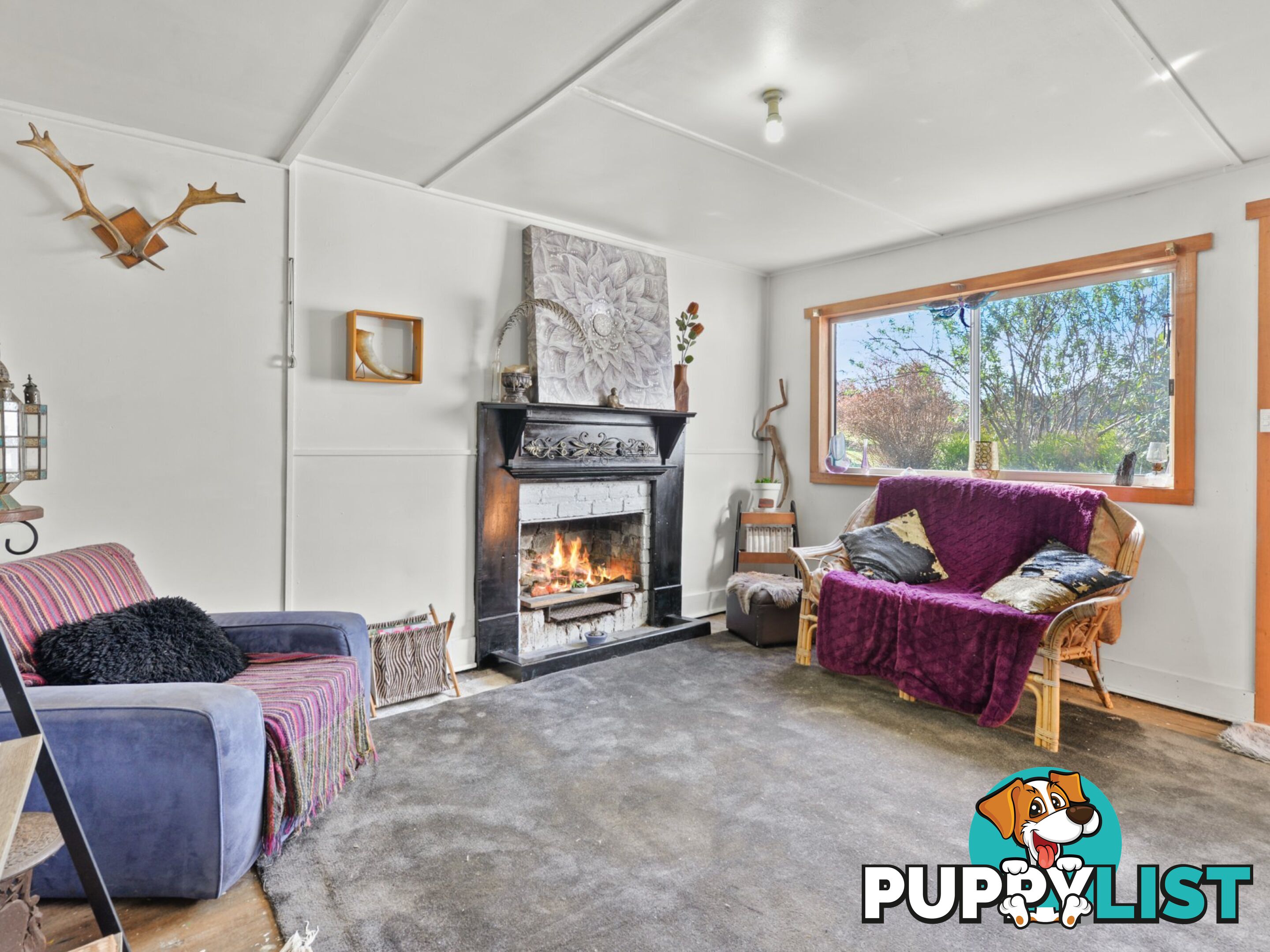 37 Dalmayne Road GRAY TAS 7215