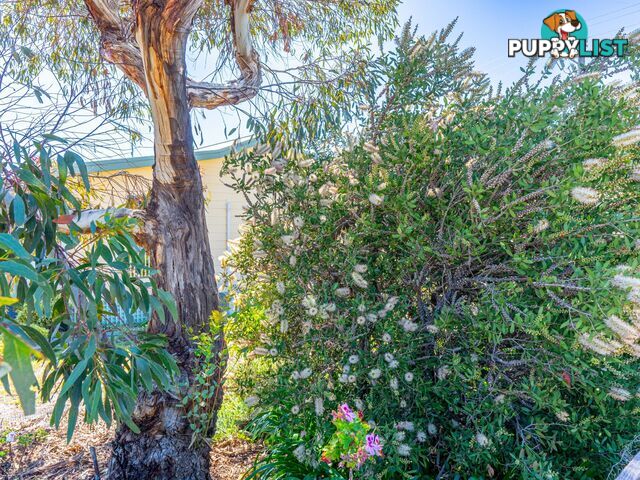 17 Parnella Drive STIEGLITZ TAS 7216