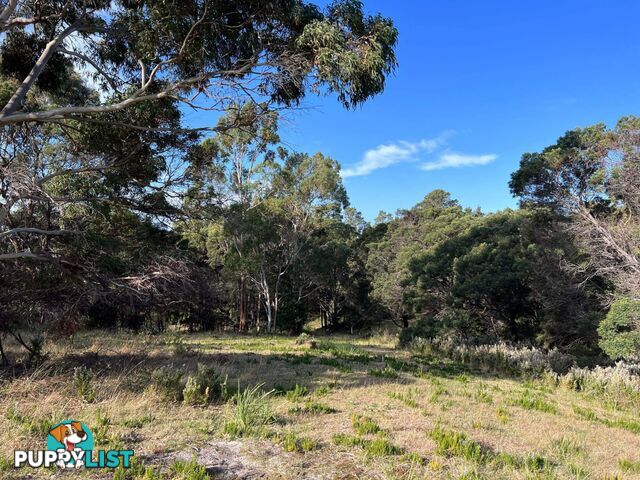 Lot 2 Oceanvista Drive ST HELENS TAS 7216