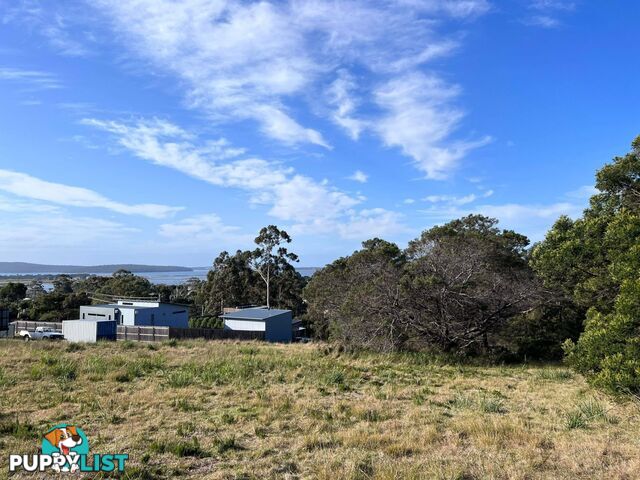 Lot 2 Oceanvista Drive ST HELENS TAS 7216