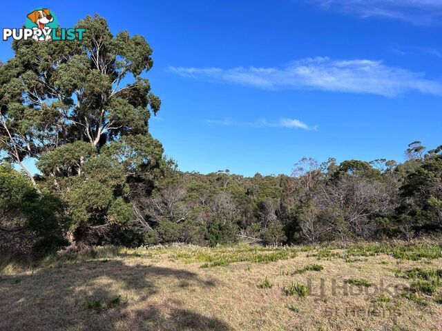 Lot 2 Oceanvista Drive ST HELENS TAS 7216