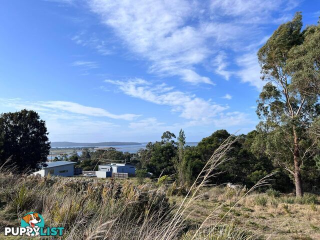 Lot 2 Oceanvista Drive ST HELENS TAS 7216