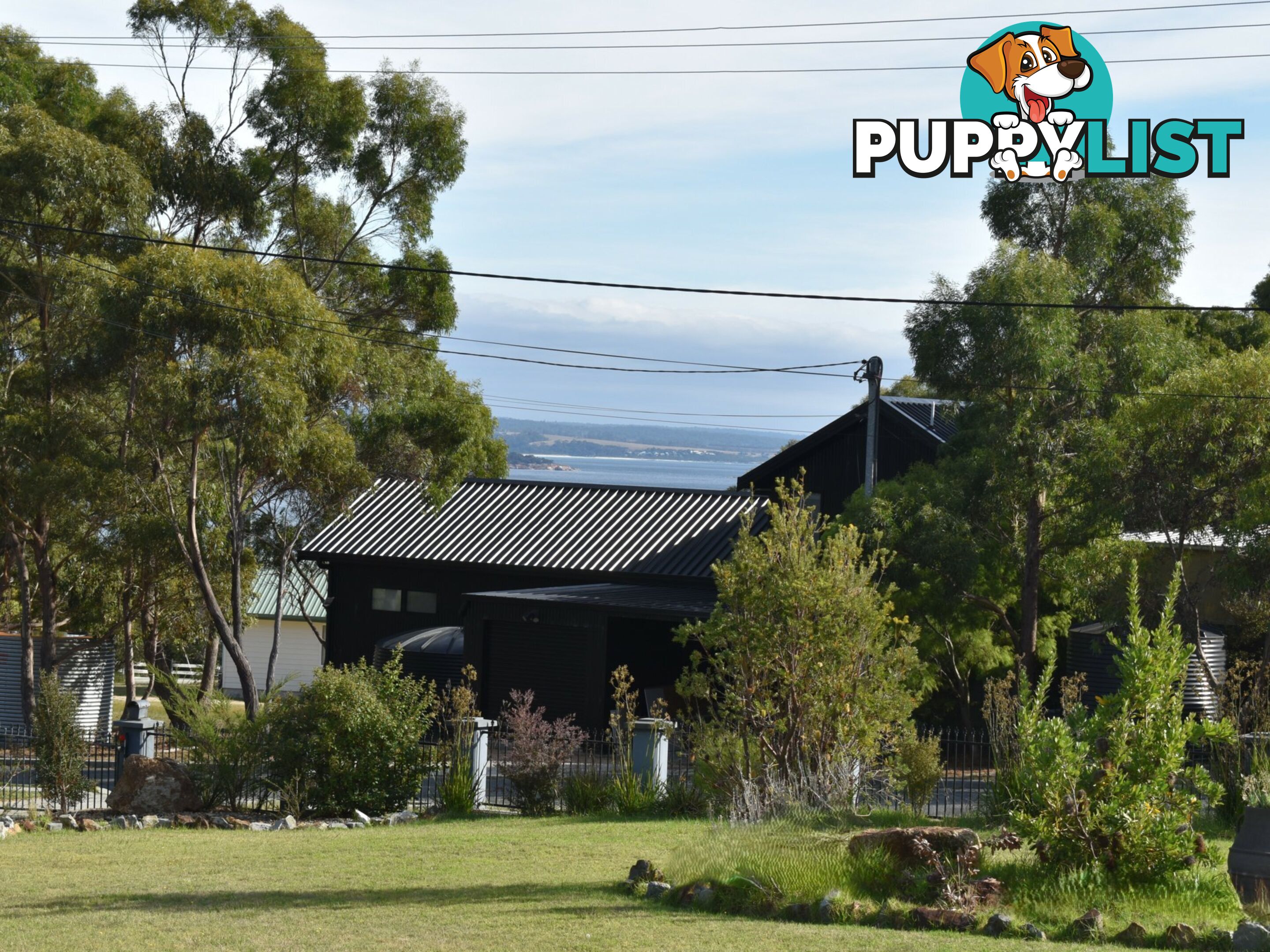 39 Coffey  Drive BINALONG BAY TAS 7216
