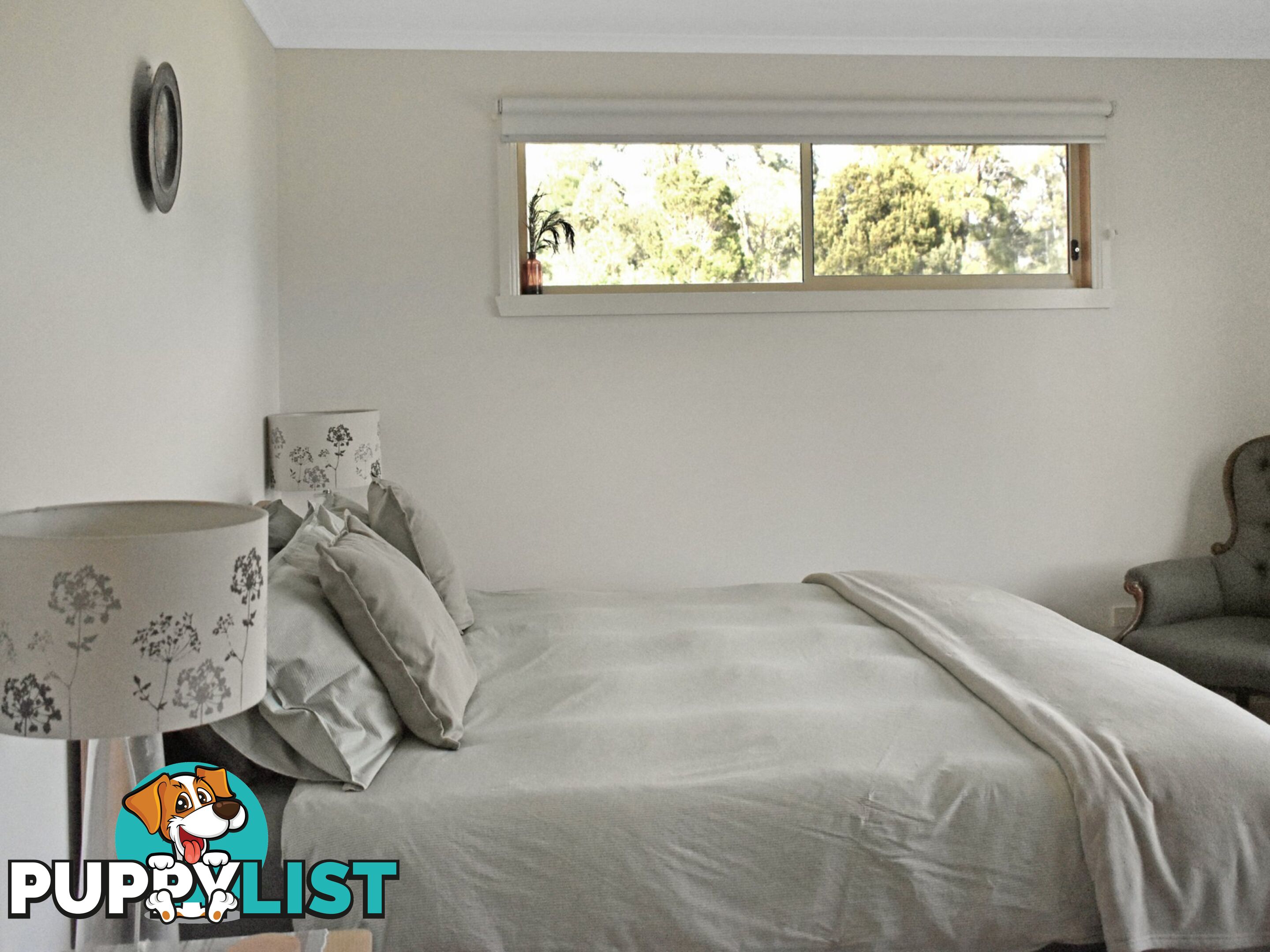 39 Coffey  Drive BINALONG BAY TAS 7216