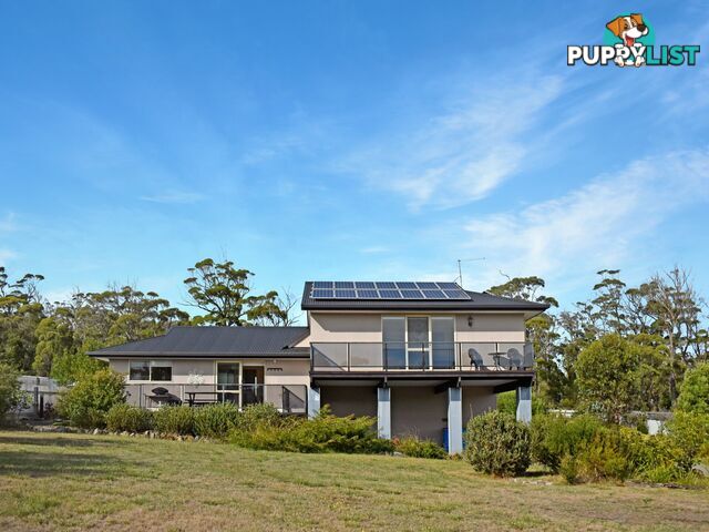 39 Coffey  Drive BINALONG BAY TAS 7216