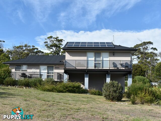 39 Coffey  Drive BINALONG BAY TAS 7216