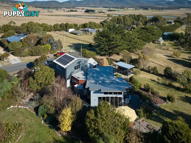 23 Franks Street FALMOUTH TAS 7215