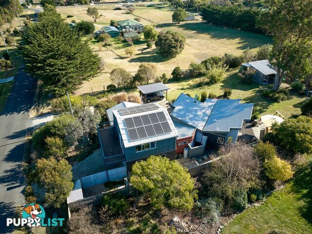 23 Franks Street FALMOUTH TAS 7215