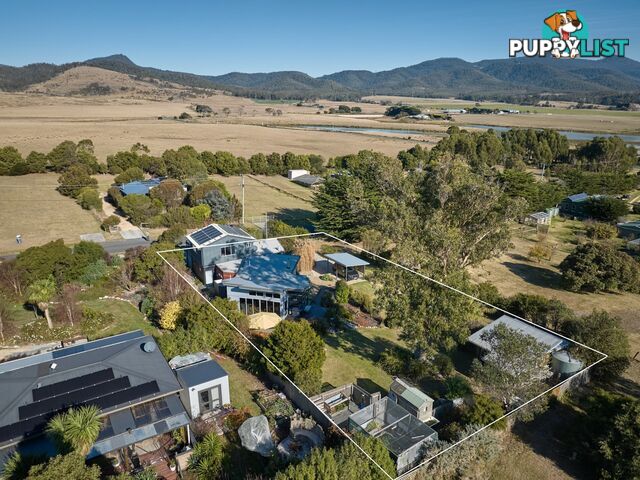 23 Franks Street FALMOUTH TAS 7215