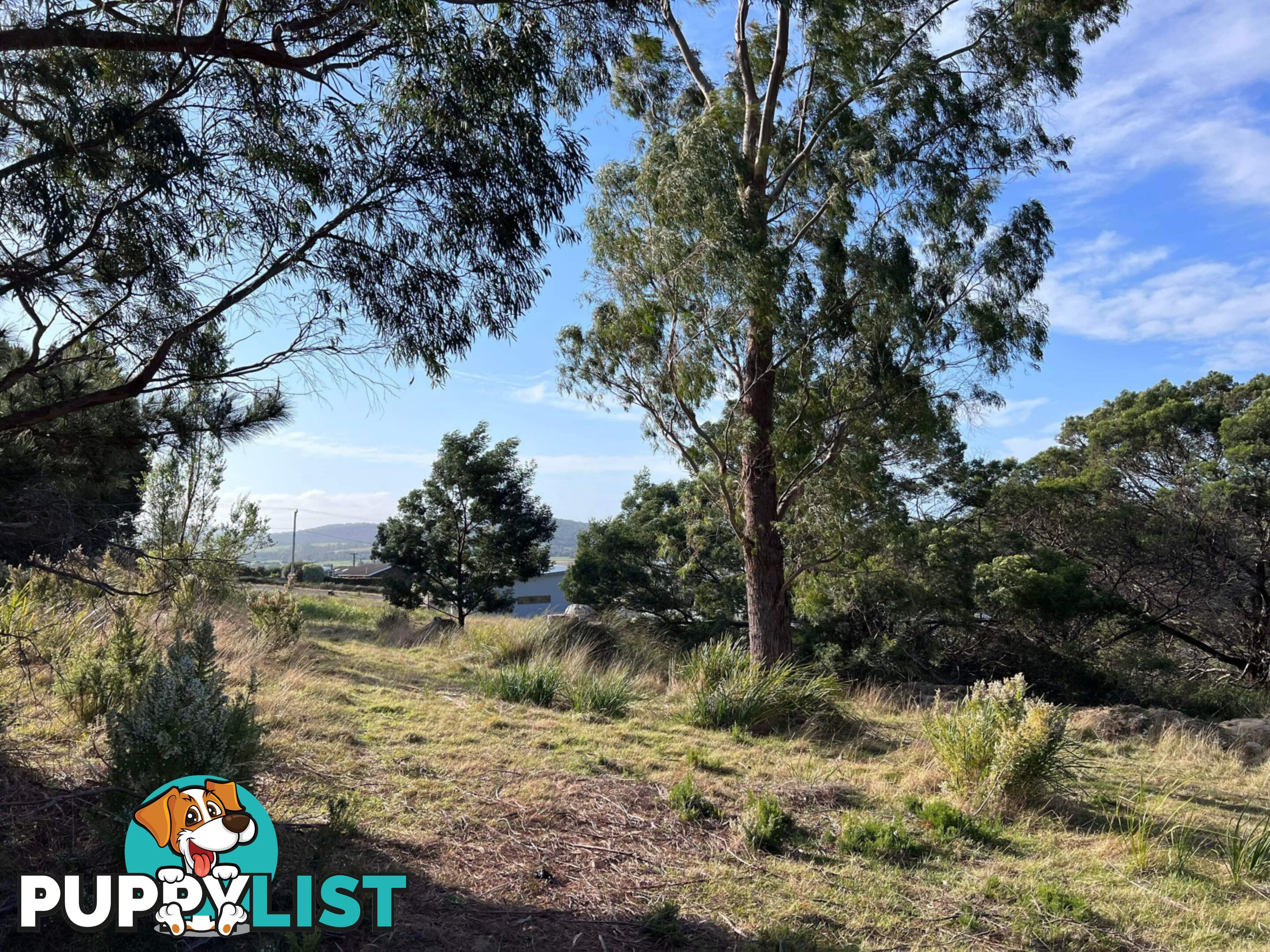 Lot 1 Oceanvista Drive ST HELENS TAS 7216