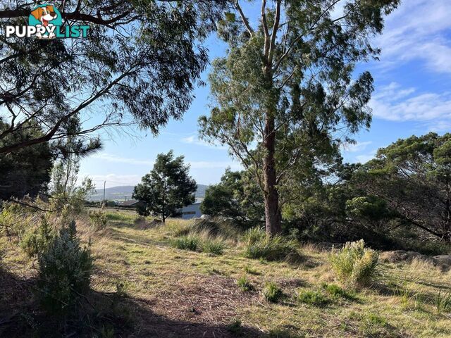 Lot 1 Oceanvista Drive ST HELENS TAS 7216