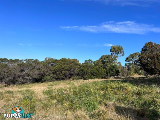 Lot 1 Oceanvista Drive ST HELENS TAS 7216