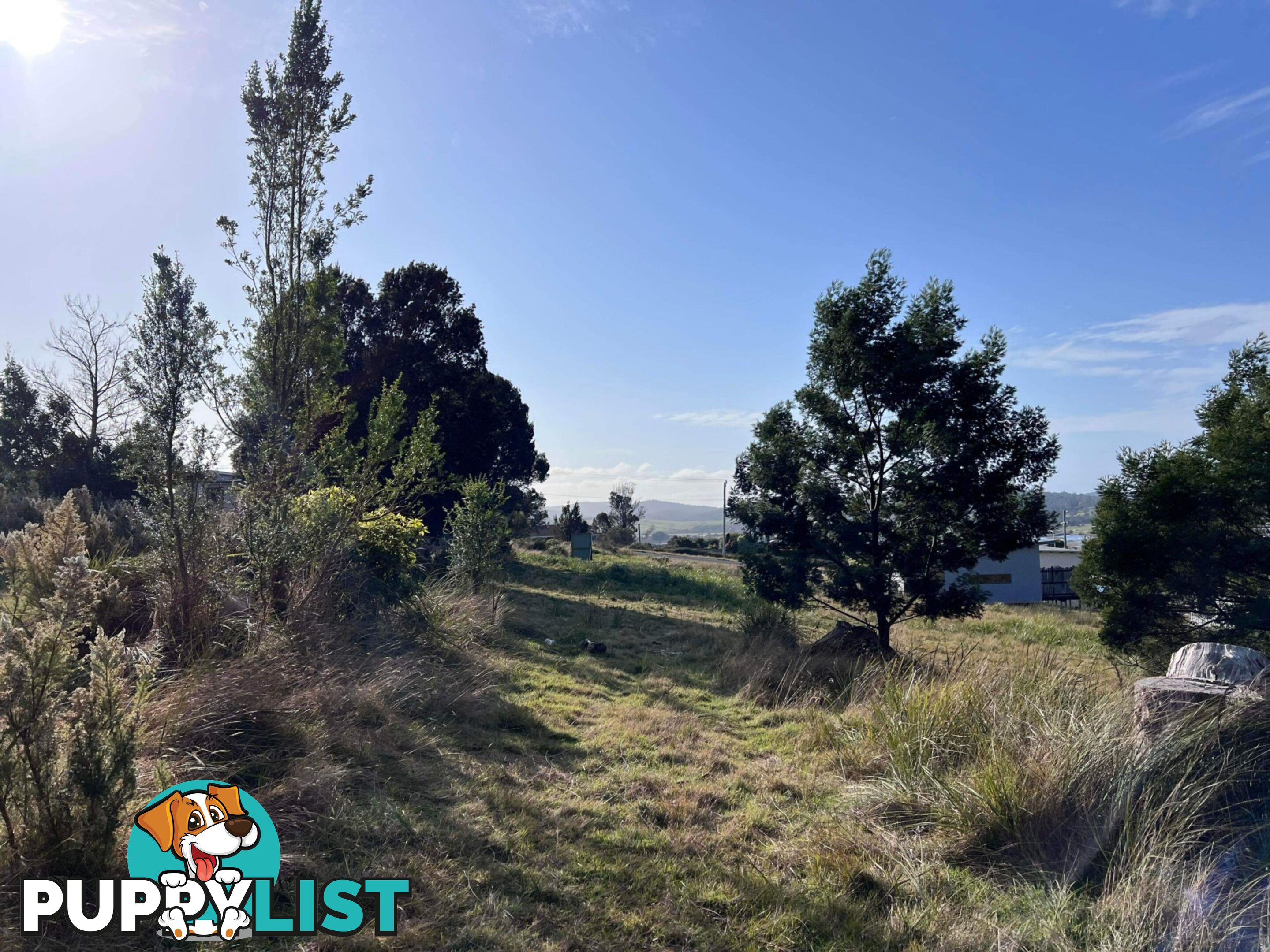 Lot 1 Oceanvista Drive ST HELENS TAS 7216