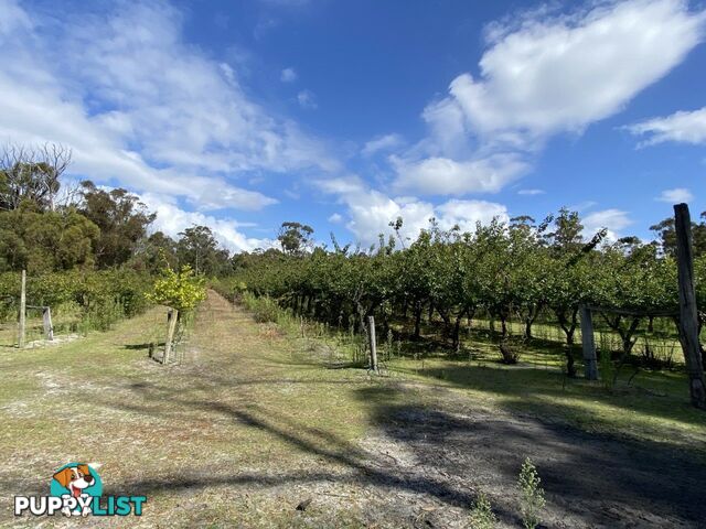 26754/5 Tasman Highway SCAMANDER TAS 7215