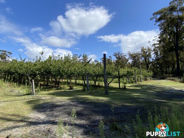 26754/5 Tasman Highway SCAMANDER TAS 7215