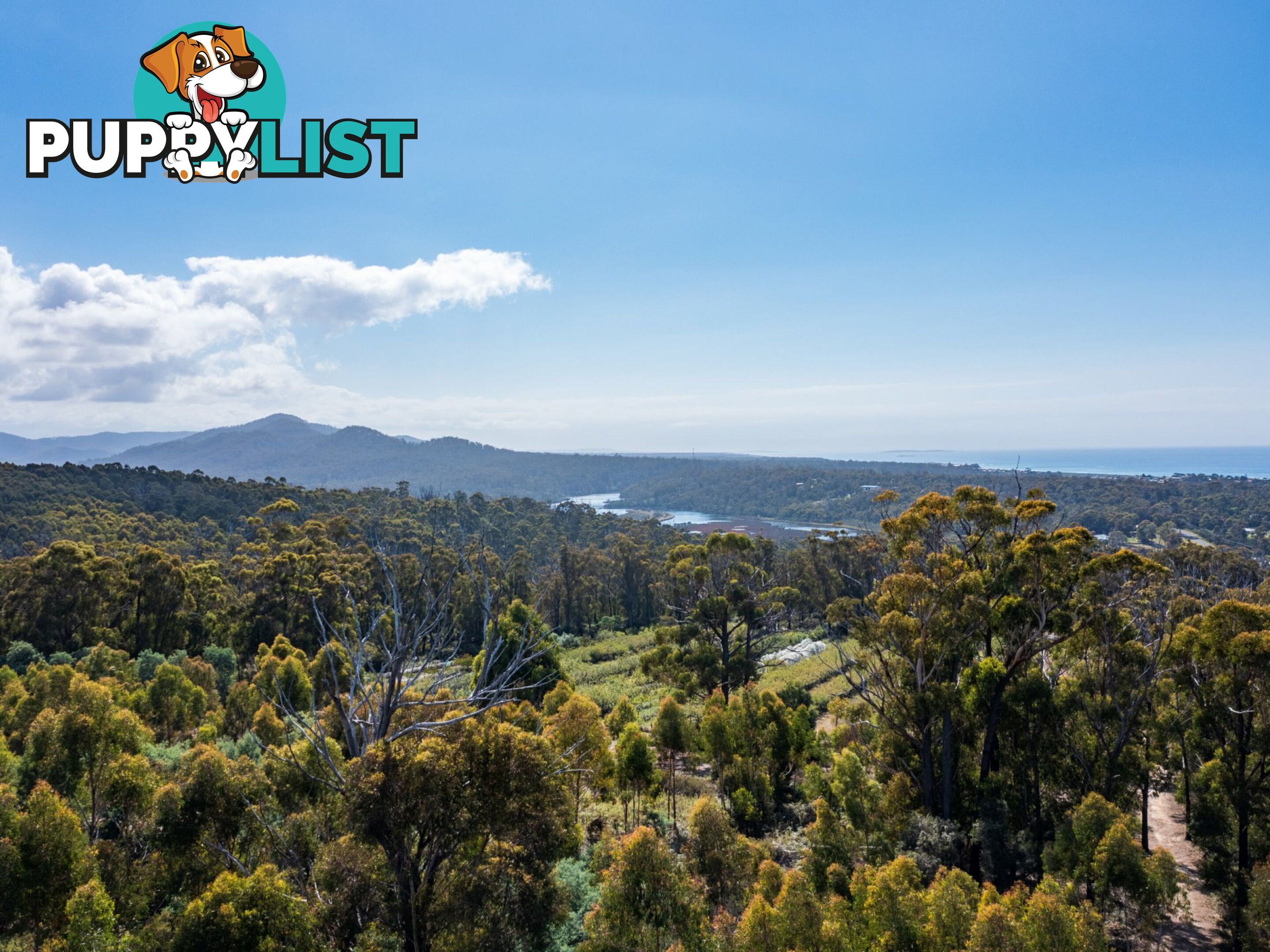 26754/5 Tasman Highway SCAMANDER TAS 7215