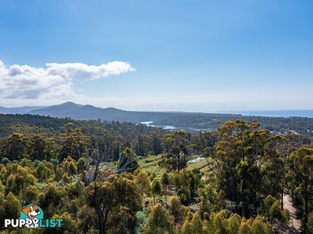 26754/5 Tasman Highway SCAMANDER TAS 7215
